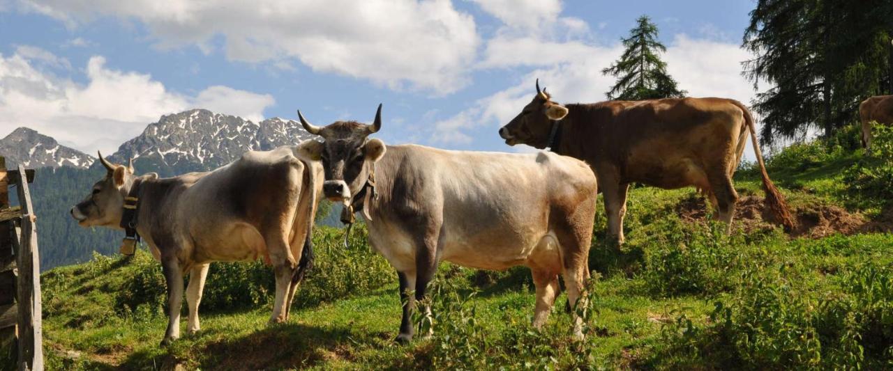 Ferienwohnung Maiernhof Bauernhof Ultental Sankt Pankraz Exterior foto